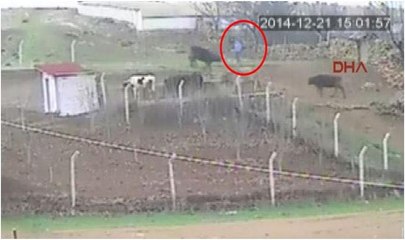 Pusu kurup, 12 yaşındaki çocuğu böyle vurdu