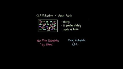 Classification of Amino Acids