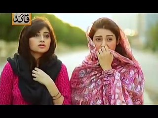 Main Bushra Episode 16 Full on Ary Digital - December 25