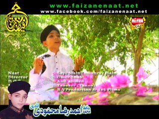 Sae Main Tumhare Hain