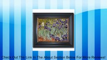Iris Garden (Irises) by Van Gogh Premium Black & Gold Framed Canvas (Ready-to-Hang) Review