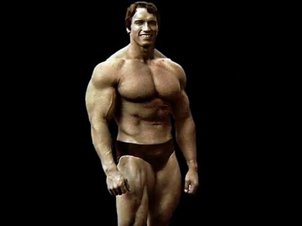 ARNOLD SCHWARZENEGGER THE OAK