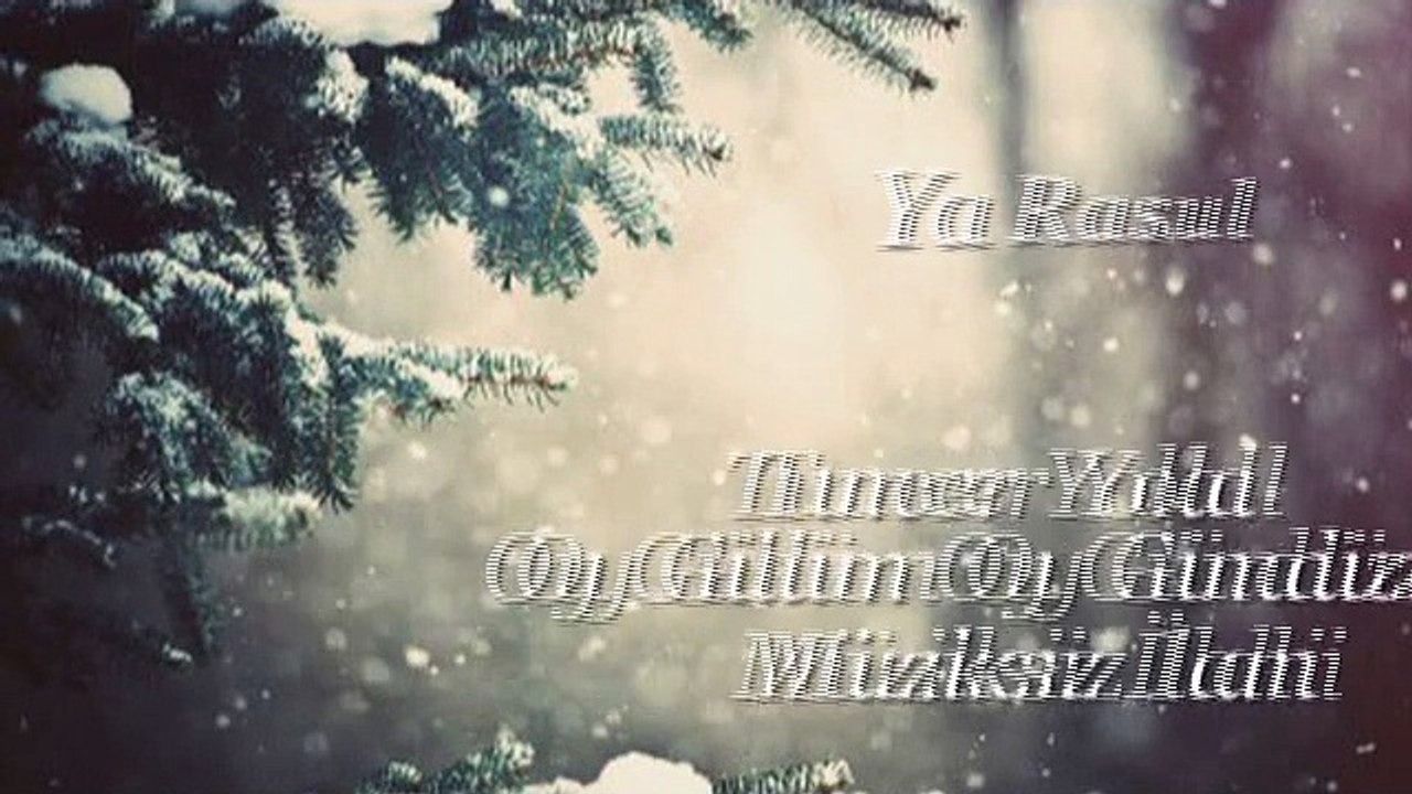 Tuncer Yolal - Oy Gülüm