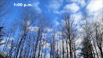 Bright Blue Sky Through Winter Trees and Clouds