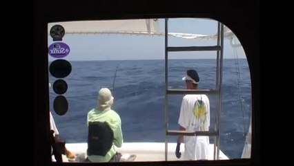 marlin fishing video