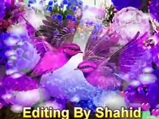 Pashto 2015 Mast Attan Song Za Malanga Za - Video Dailymotion