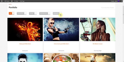 MetroStyle WordPress Theme - Tutorial - Setting up the Portfolio