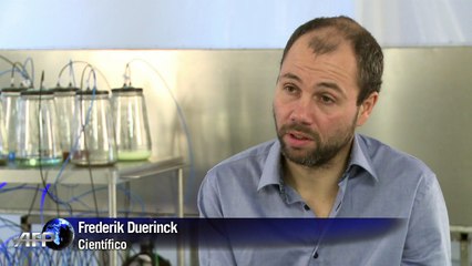 El olor de la muerte