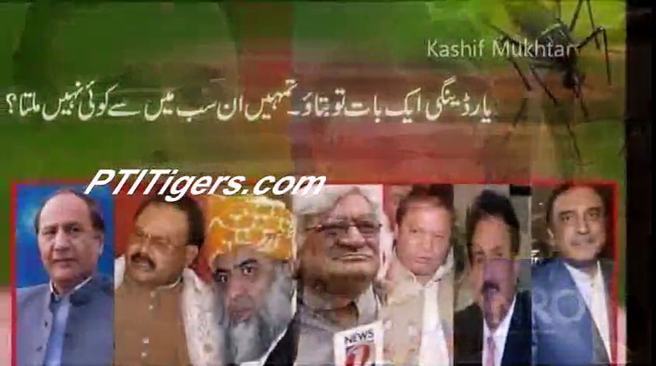 Main Baghi hoon main baghi hoon PTI New Song