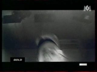 Animo - Des gens stricts