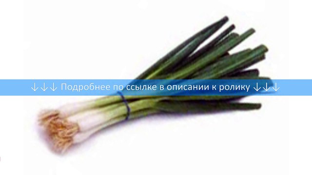 Зеленый лук
