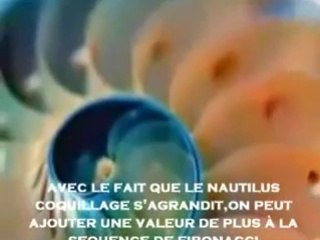 The Signs pt 2 L'EMPREINTE D'ALLAH