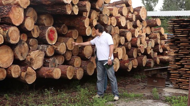 Экспорт / импорт пиломатериалов из Украины с партнером - all.biz