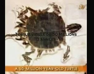 The signs pt 9 l'évolution démasquée