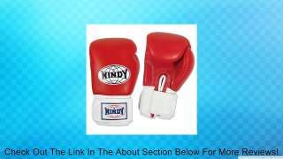 Windy Thai Style Sparring Gloves Review