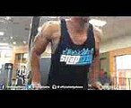Chest And Triceps Workout With Abs hodgetwins