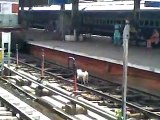 VID-20141225-WA0009.mp4