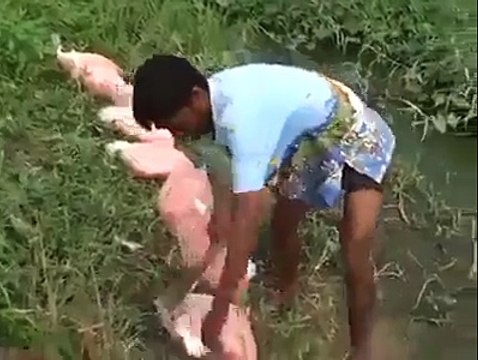 That s Amazing Feeding Hungry Fishes