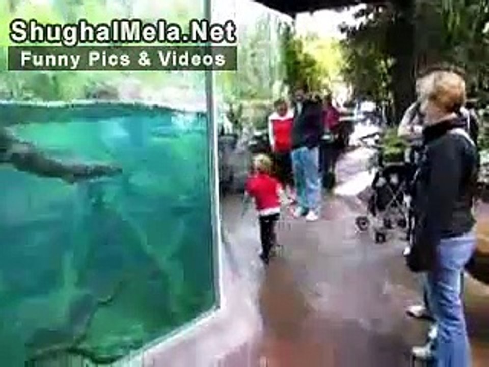 Cute Kid playing with an otter