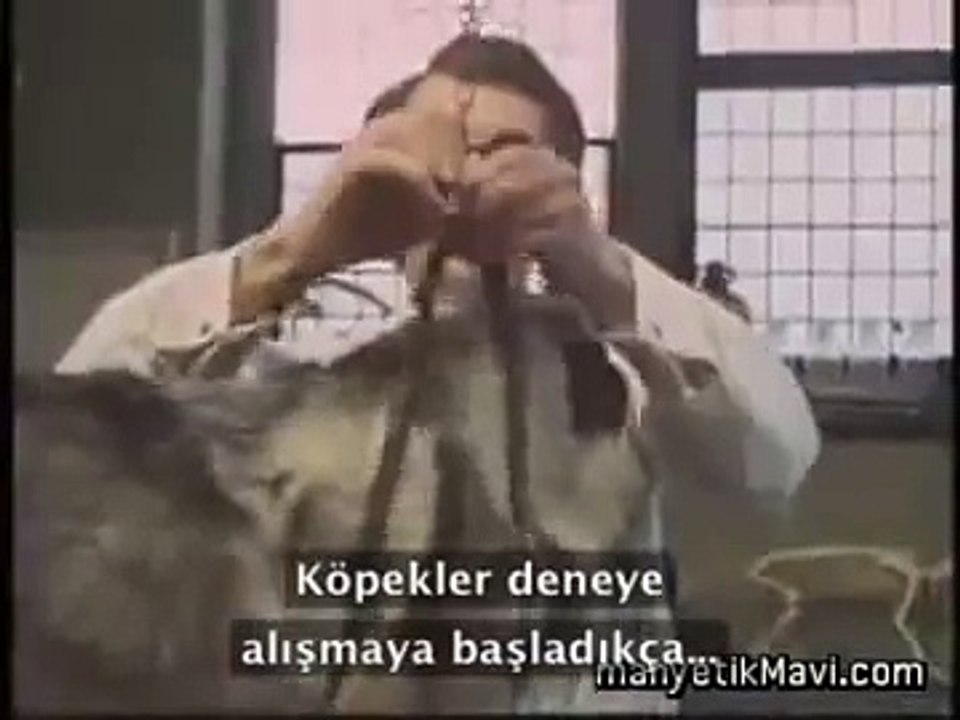 Pavlov'un Köpek Deneyi - Klasik koşullanma deneyi (Türkçe Altyazılı)