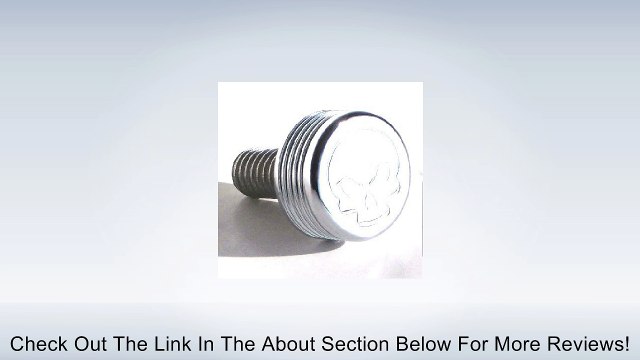 Chrome Skull Air Cleaner Bolt & Cap Kit for Harley Twin Cam Models Review