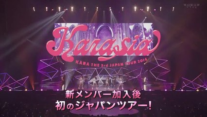 KARATHE 3rd JAPAN TOUR 2014「KARASIA」番宣２