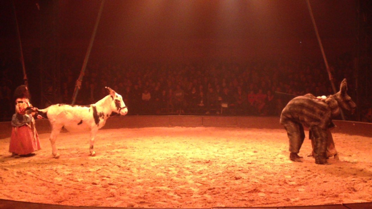 Cirque équestre, les Chevaux de Noël