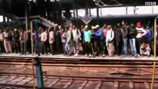 Monkey Saves the Life of another Monkey by giving him FIRST AID - Epic Video