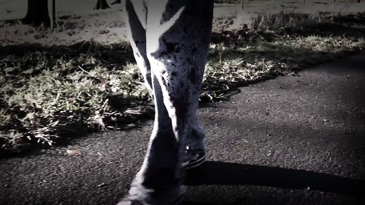 Run TRAILER 1