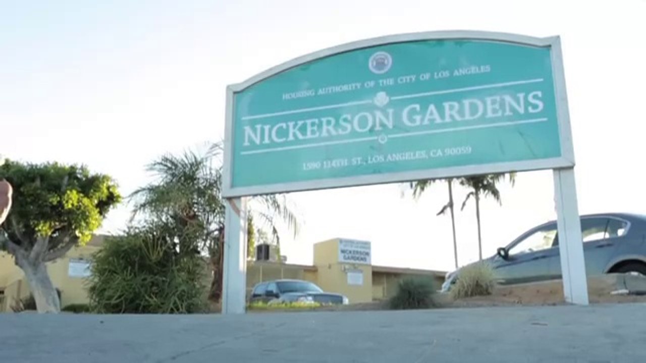 Top Dawg Entertainment Presents 1st Annual TDE "Concert & Toy Giveaway" @ Nickerson Garden Projects, Watts, CA, 12-23-2014
