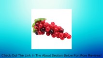 Design It Simple Decorative Fruit-Small Purple Grapes Review