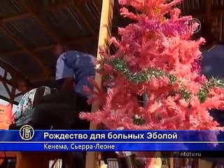 Рождественский утренник для больных Эболой детей