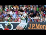 Harlequins vs Northampton Saints Online Stream