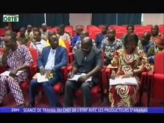 Le Chef de l’ Etat Boni YAYI a tenu une séance de travail avec les producteurs d’ ananas