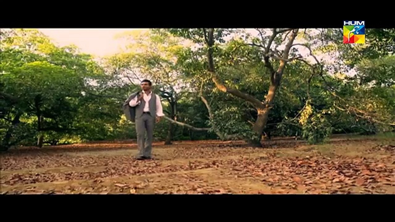 Bhool OST HUMTV Drama