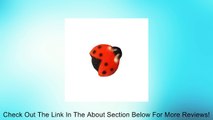 Lucks Ladybug Sugar Decorations Dec-on for Cupcakes Cakes decorations 48 Pk Review