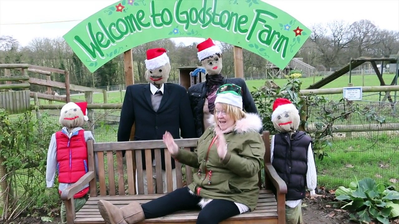 Cotton Christmas video 2014