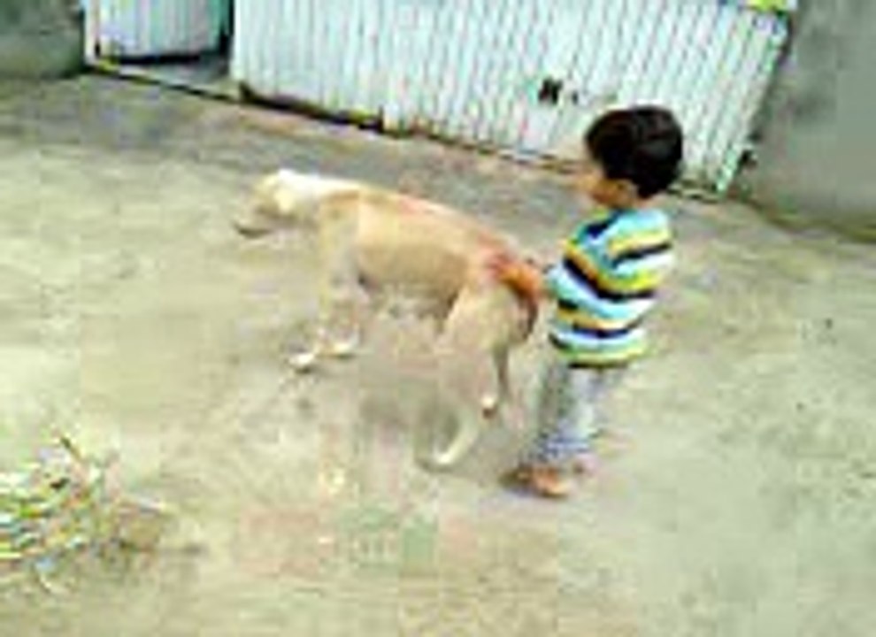 Waleed-waleed
