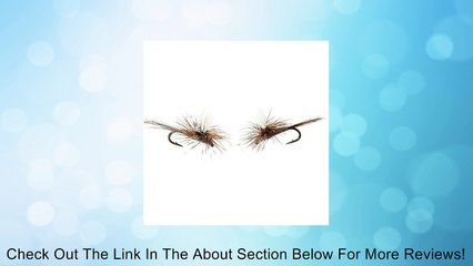 Umpqua Parachute Adams - 2-Pack Review