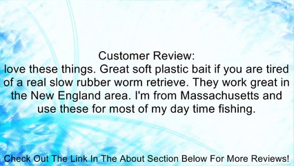 Zoom Bait Salty Super Fluke Bait-Pack of 10 Review