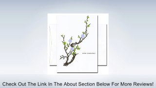 Sympathy Cards: Blooming Branch - box of 10 cards & envelopes Review