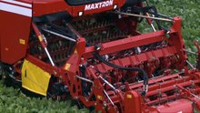 Beet Harvest XXL - 4x Grimme MAXTRON 620 in action