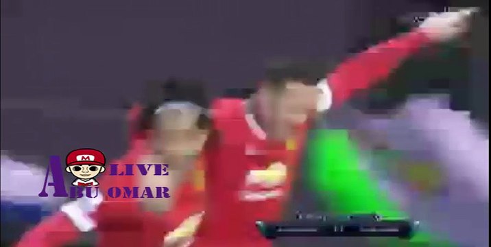 اهداف مباراه مانشستر يونايتد مع نيوكاسل في الدوري الانجليزي الاسبوع 18 1/3