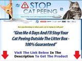 Stop Cat Peeing On Clothes   DISCOUNT   BONUS