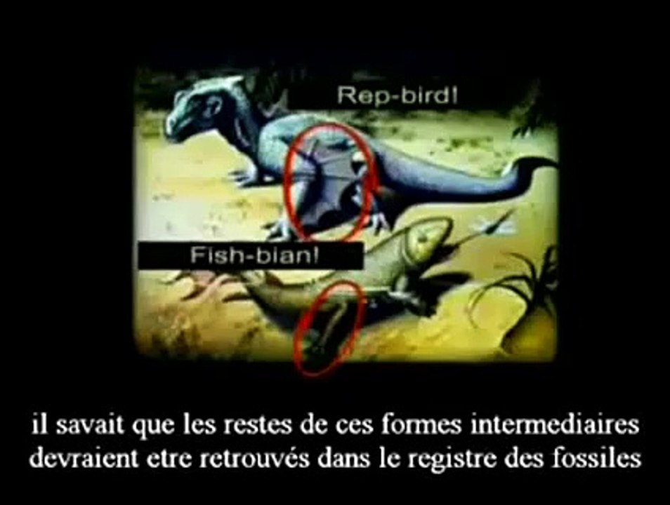 The Signs pt 41 La Fin du Darwinisme 4