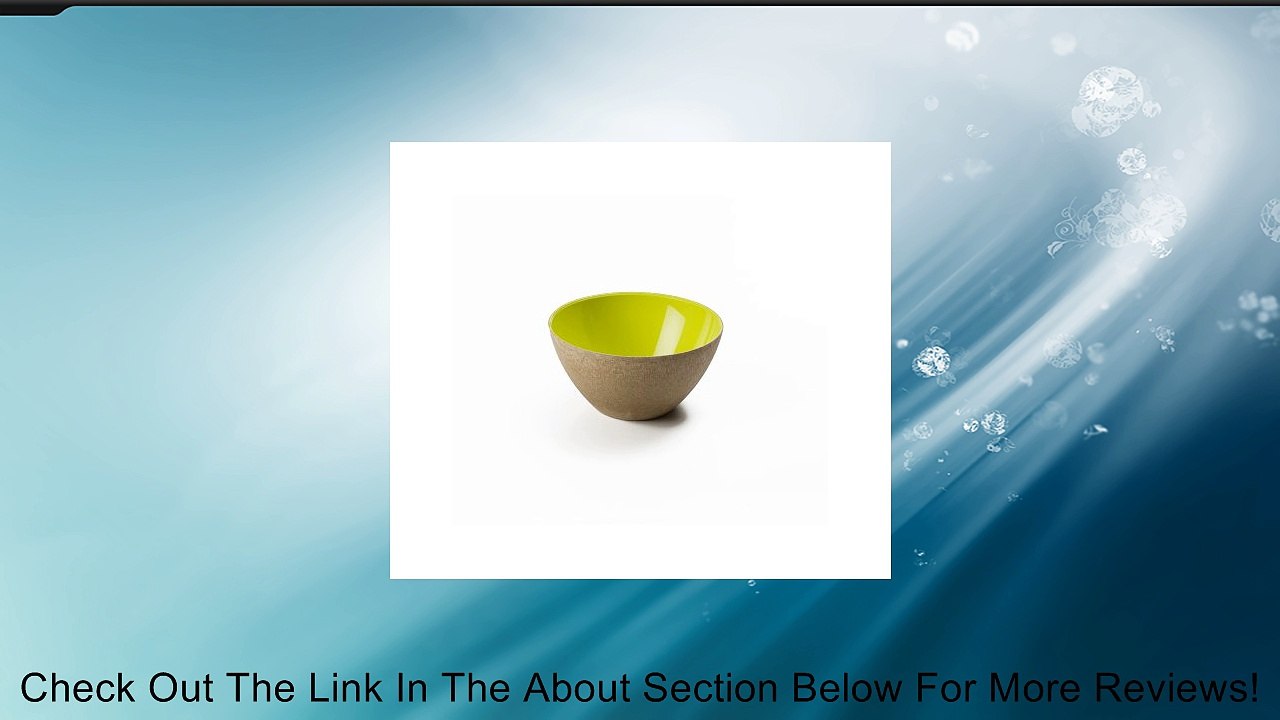 Omada M4400VA Ecoliving Small Bowl, Green Review