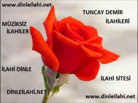 Tuncay Demir - Canım kurban olsun senin yoluna