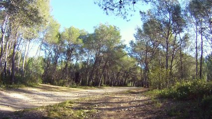 session quad madmax 300 avec mon neveu