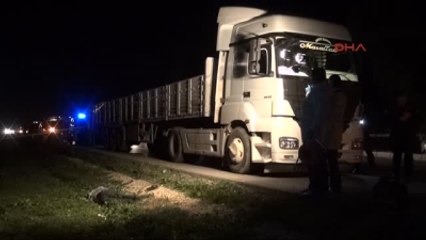 Adana Kamyon Şoförü, Levye ile Dövülerek Öldürüldü