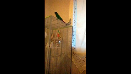 gouter des piafs le 26 decembre 2014